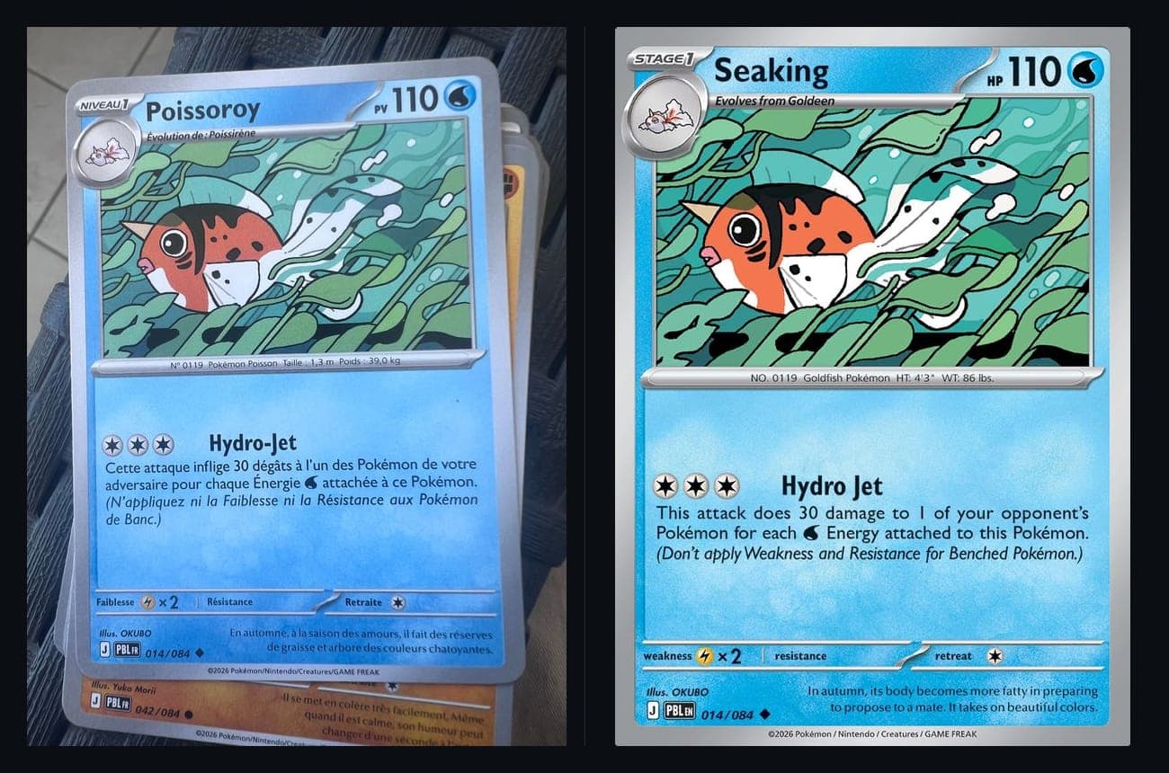 Left, the photograph the phone was given. Right, the reference scan the index holds. Poissoroy is French for Seaking, and the index has never seen a French printing.